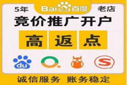 百度竞价推广助力企业品牌崛起案例